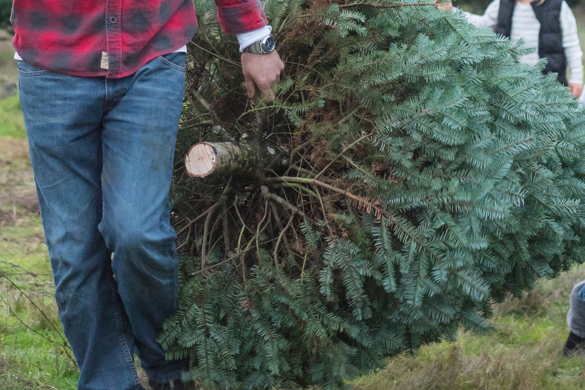 RMN start met ophalen van kerstbomen in Zeist De Zeister Krant