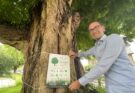 treetag gemeente zeist