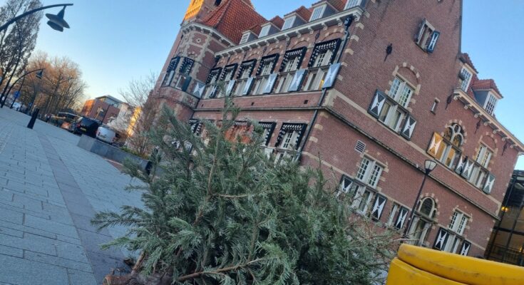 kerstbomen ophalen gemeente zeist