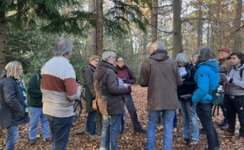 minicursus ivn bomenherkenning winter